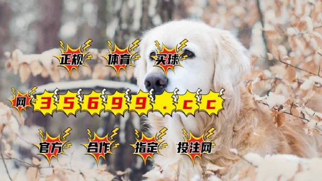 澳门最快开奖结果，揭秘4949的魅力与实时开奖动态，澳门最新开奖结果揭秘，4949的魅力与实时开奖速递