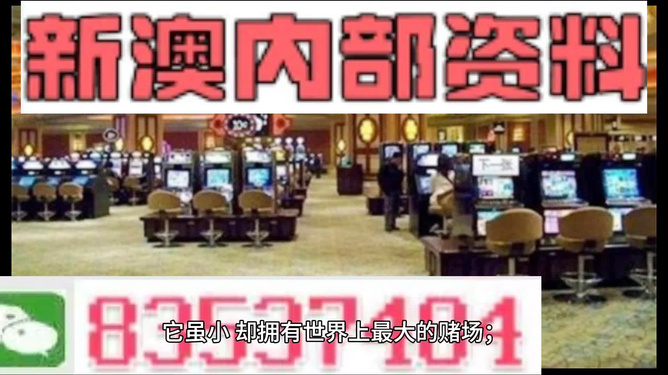 2025新澳正版资料精准解析与SEO优化策略，2025新澳正版资料精准解析与SEO优化策略全解析
