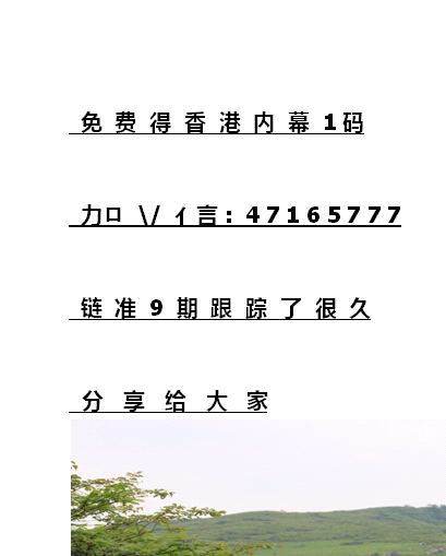 揭秘12生肖开奖记录，历史数据与预测分析，揭秘生肖开奖秘密，历史数据与预测分析全解析