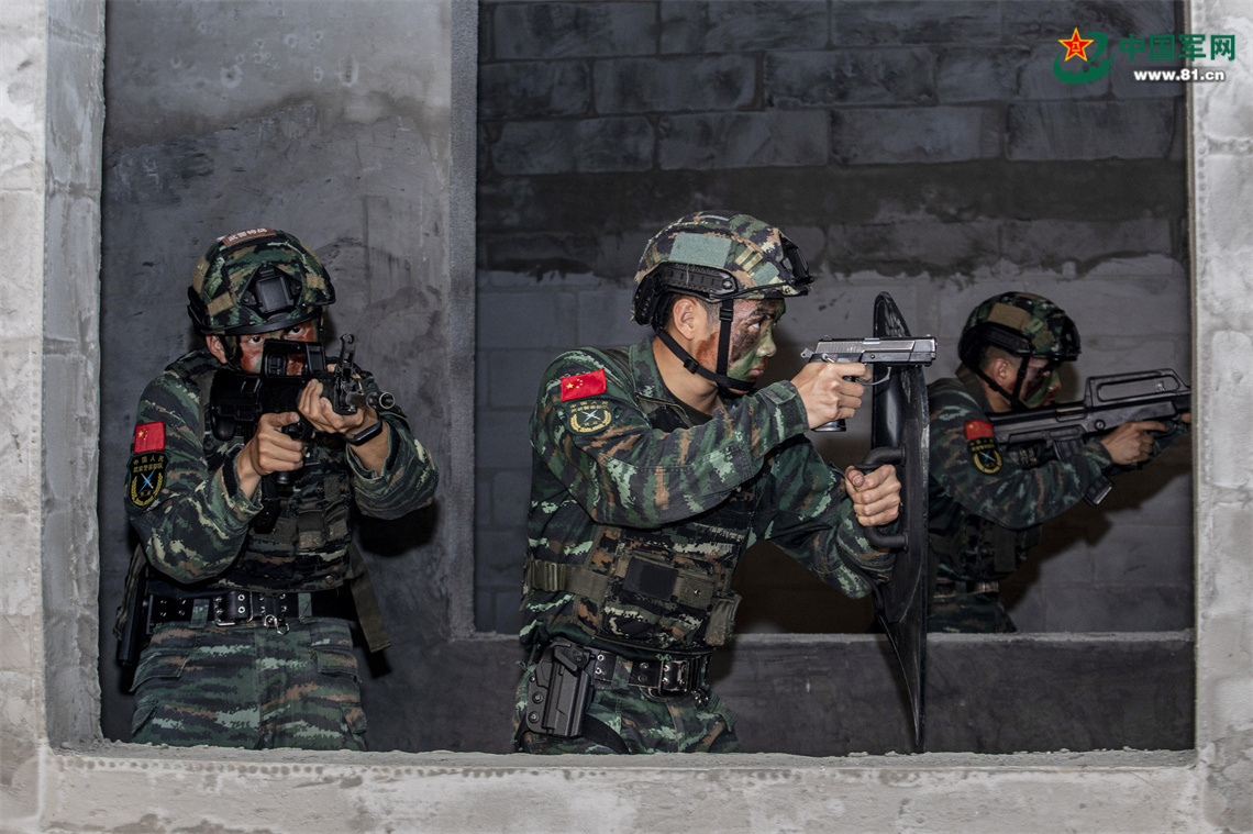 武警最强悍的特战队，实力与荣耀的见证，武警最强悍特战队，实力与荣耀的巅峰见证