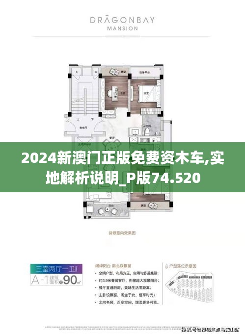 探索澳门，2025新澳门正版免费资源车之旅，澳门探索之旅，2025正版免费资源车之旅