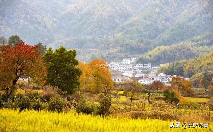 全国停办报刊名单及其影响深度解析，全国停办报刊名单影响深度解析