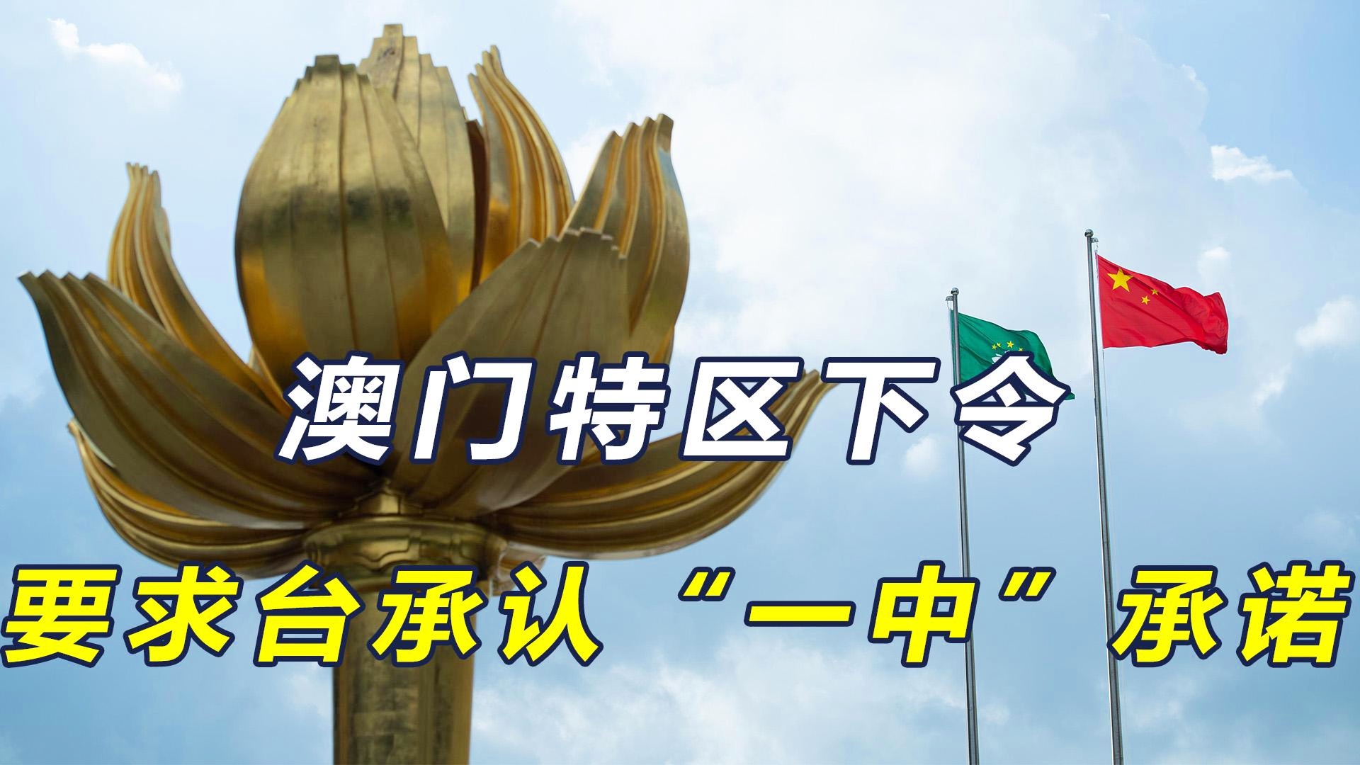 澳门一码一肖一待一中四不像，探索与解析，澳门一码一肖一待一中四不像，深度解析与探索