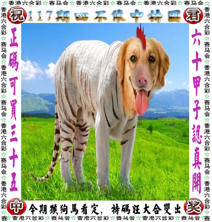 四不像一肖图王中王