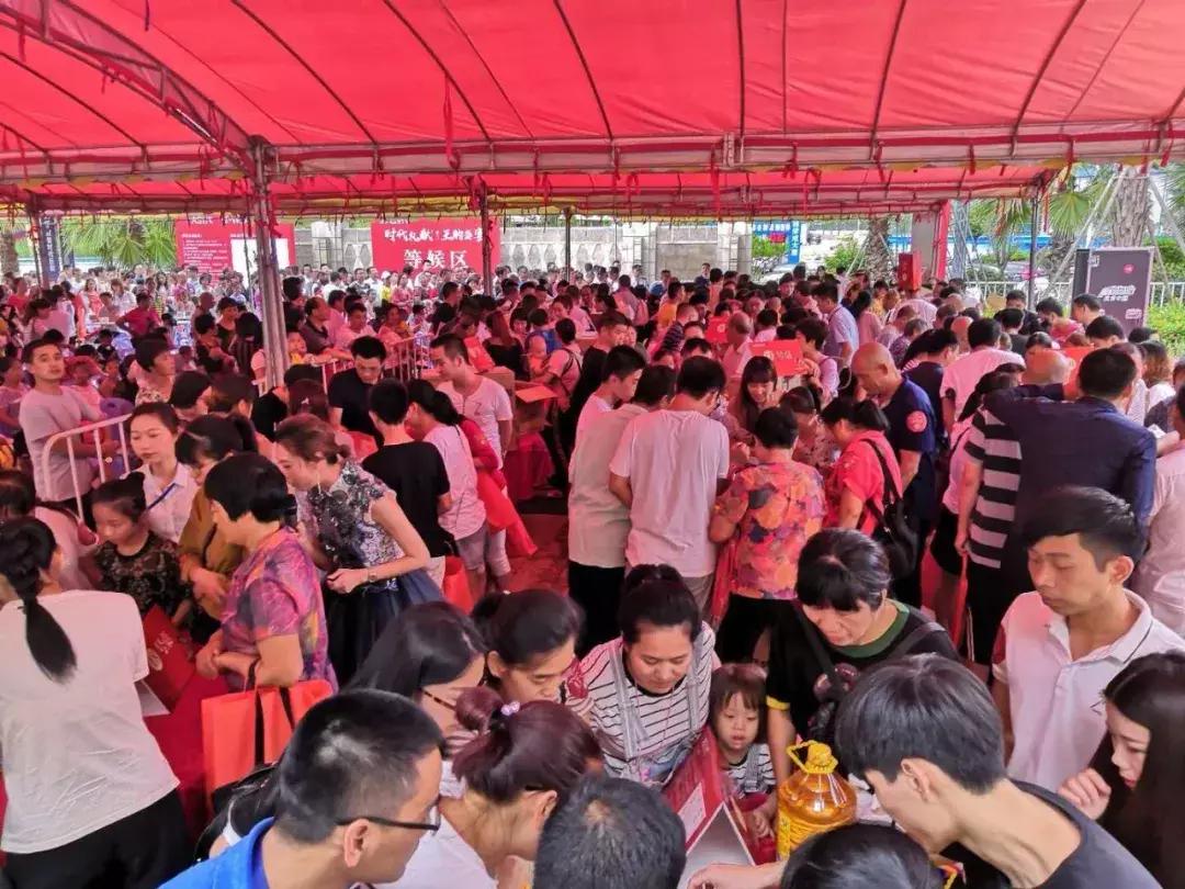 王中王精选一肖四码中特，揭秘彩票背后的秘密策略与技巧，揭秘彩票策略与技巧，王中王精选一肖四码中特之道