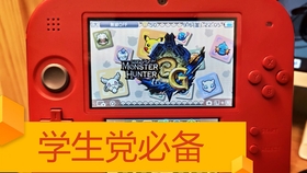 王中王059期指一生肖，揭秘背后的奥秘与生肖运势分析，王中王059期生肖揭秘与运势深度分析