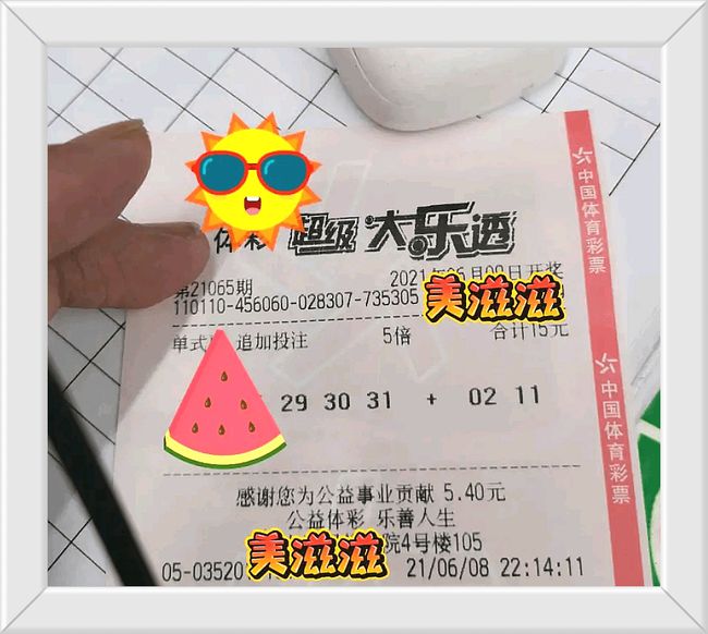澳门六会65期开奖结果及彩票市场解析，澳门六会彩票开奖结果及市场深度解析