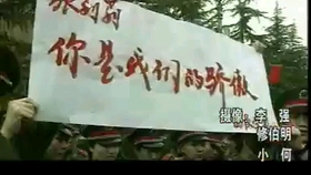 中国人民志愿军军歌与牡丹峰乐团，传承与演绎的壮丽交响，牡丹峰乐团演绎中国人民志愿军军歌，传承与演绎的交响壮丽乐章