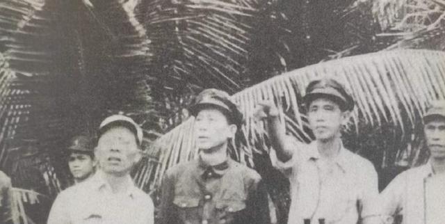海南岛战役国共双方对比研究，海南岛战役国共双方对比分析