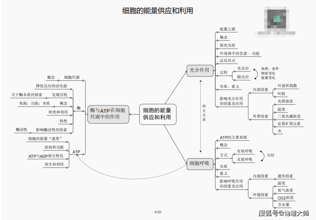 三期必开一肖王中王，揭秘生肖运势与预测之谜，揭秘生肖运势，三期必开一肖王中王预测之谜