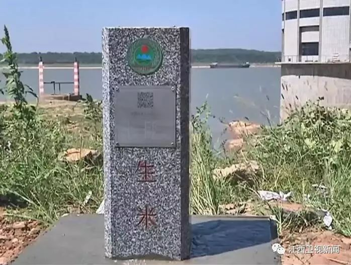 樊孝俊，一位引领时代的先锋人物，樊孝俊，时代先锋，引领风潮