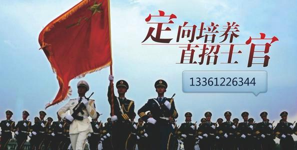 全面解读2024年参军政策规定最新动态，2024年参军政策最新动态全面解读