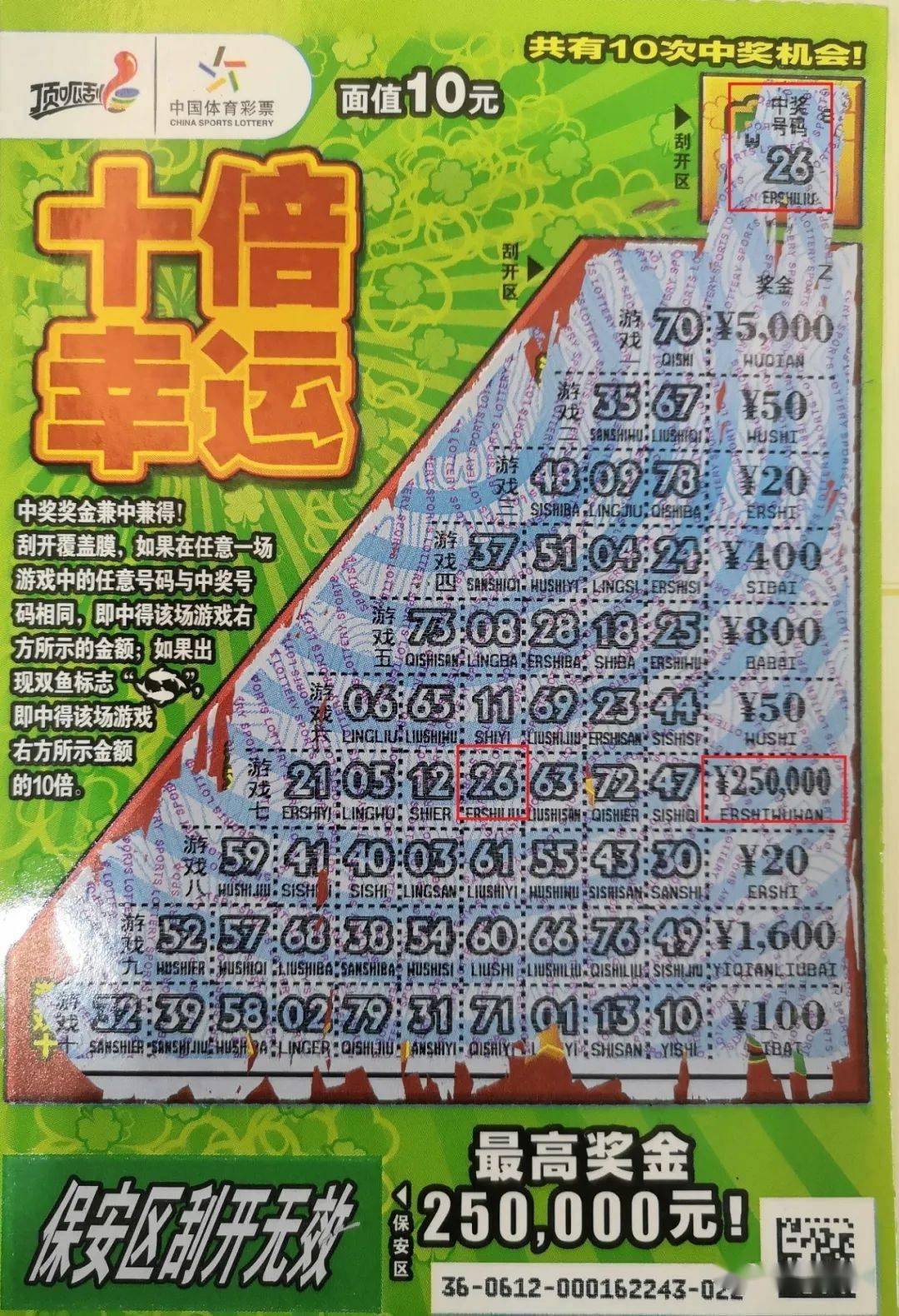 一肖免费中特王中王彩票——揭秘彩票背后的秘密与策略，揭秘彩票背后的秘密与策略，一肖免费中特王中王彩票解析