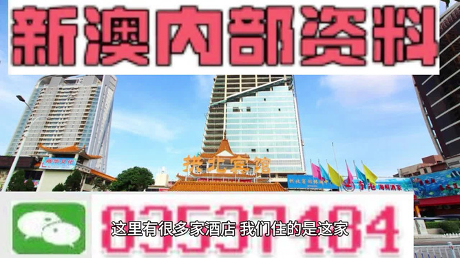 2025新澳精准正版资料解析与获取指南，2025新澳正版资料解析与获取指南