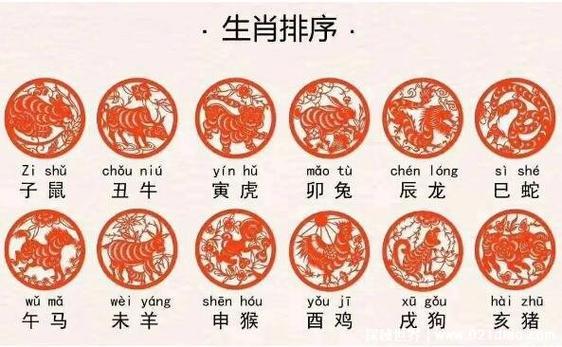 一肖有哪些生肖——生肖文化深度解析，生肖文化深度解析，揭秘十二生肖中的一肖奥秘