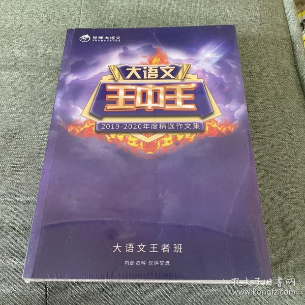 揭秘2019王中王资料，一肖的独特魅力，揭秘王中王资料，一肖的独特魅力与传奇故事回顾