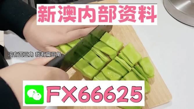 新澳精准资料免费提供，探索与利用资源的新篇章，新澳精准资料免费分享，开启资源探索与利用新篇章