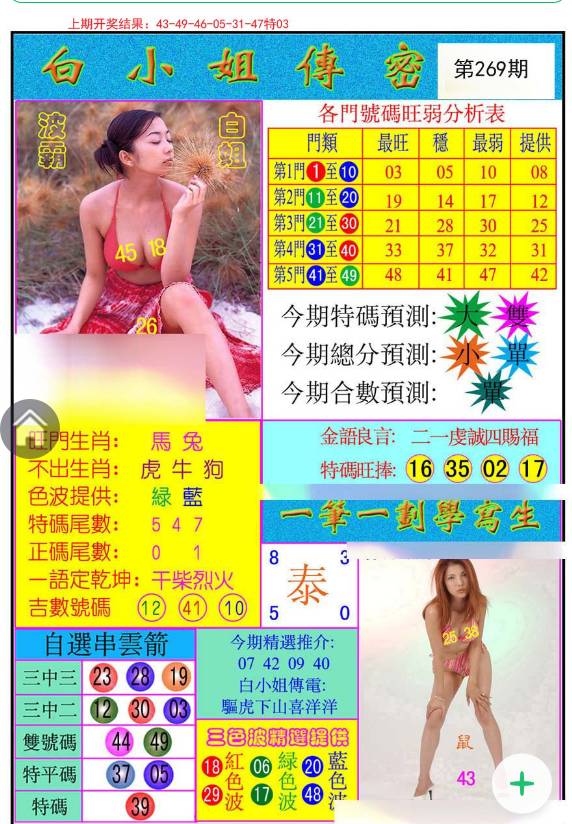 王中王白小姐一马一肖，探寻背后的故事与神秘魅力，王中王白小姐一马一肖背后的故事与神秘魅力探寻