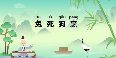 平特解一肖探索之旅