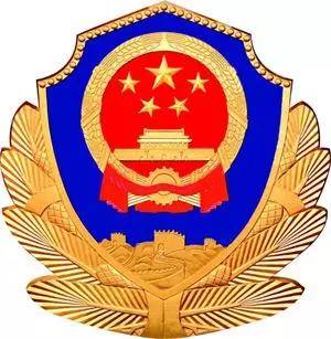 中国人民武装警察部队肩章，荣誉的象征与职责的展现，中国人民武装警察部队肩章，荣誉与职责的象征