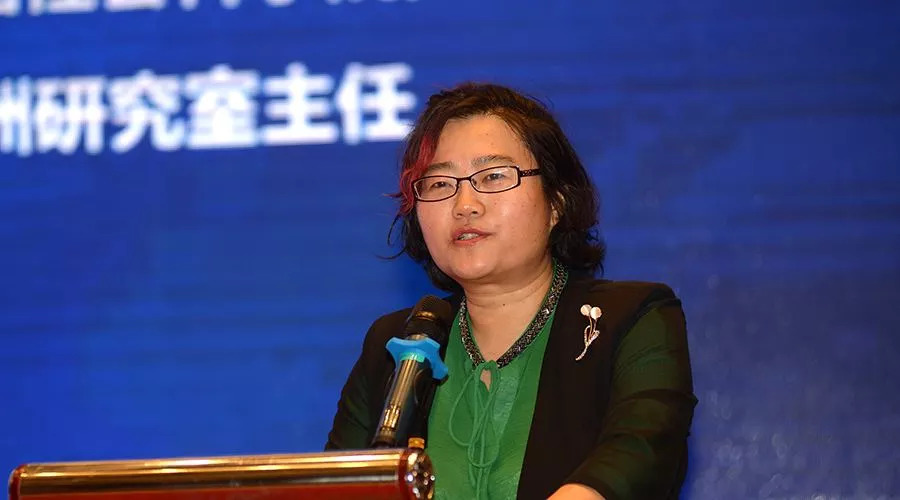 贺文萍与台海，探索与洞察，贺文萍深度解析台海局势，探索与洞察