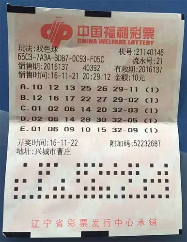 关于王中王平特一肖在2018年的表现与影响深度解析，王中王平特一肖在2018年的表现与影响力深度解析报告