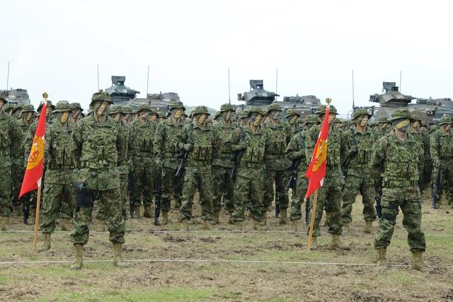 日本第十四集团军，历史、现状和影响，日本第十四集团军，历史、现状与影响探究