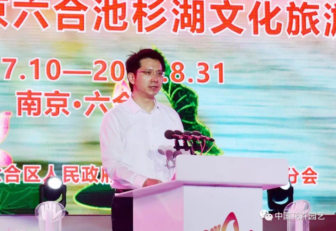 澳门六合最快开奖结果记录——历史数据与趋势分析，澳门六合历史开奖结果记录与趋势分析