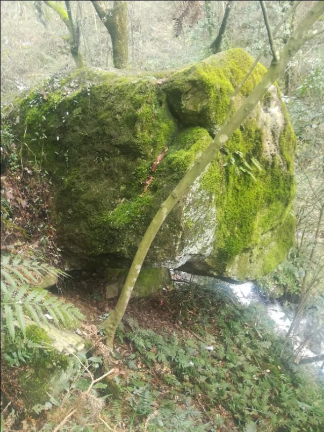 揭秘刘伯温四不像f必中期期准一肖图——探寻神秘预测背后的真相，揭秘刘伯温四不像预测神秘背后的真相，揭秘必中期期准一肖图真相探索