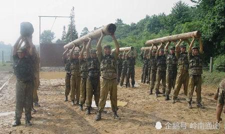 猎人勇士学校，培养顶尖猎人的摇篮，猎人勇士学校，培养顶尖猎人之摇篮