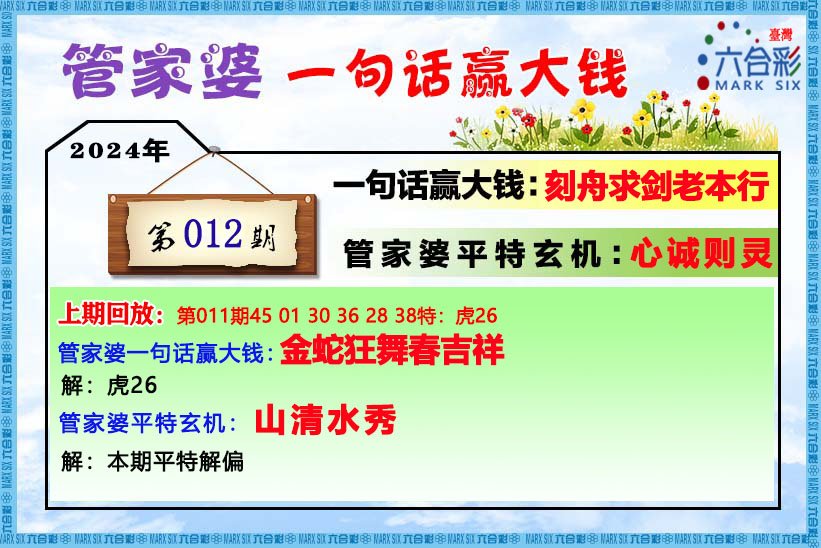 管家婆王中王平特一肖图，深度解析与探索，管家婆王中王平特一肖图深度解析与探索揭秘