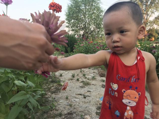 假英雄事迹的几个深度探讨，假英雄事迹的深度探讨与分析