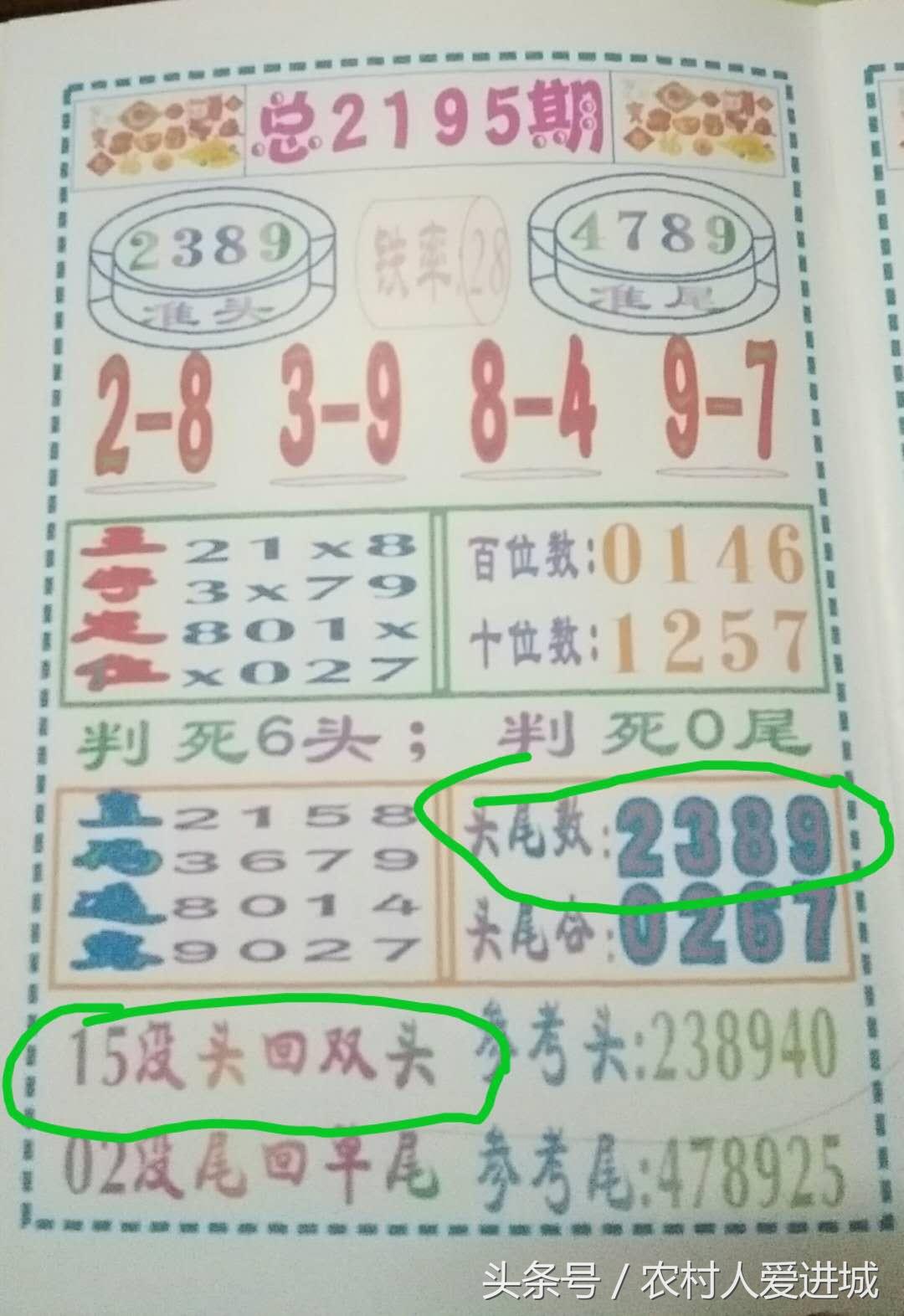 澳门一肖中100%期期准海南特区号