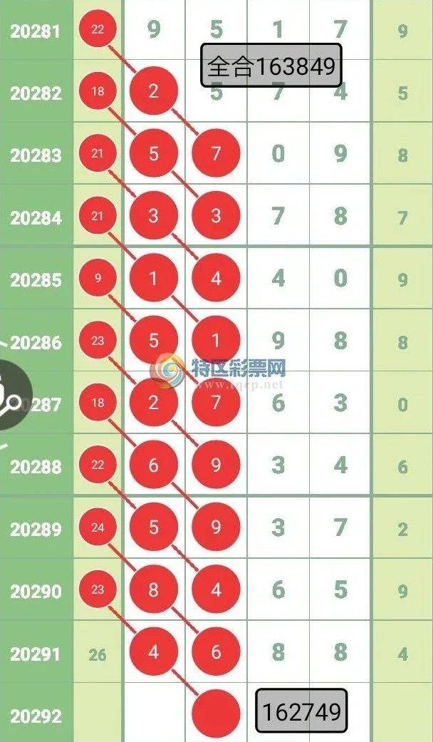 王中王一肖一特一中波色，深度解析与SEO优化策略，王中王一肖一特一中波色深度解析与SEO优化策略指南