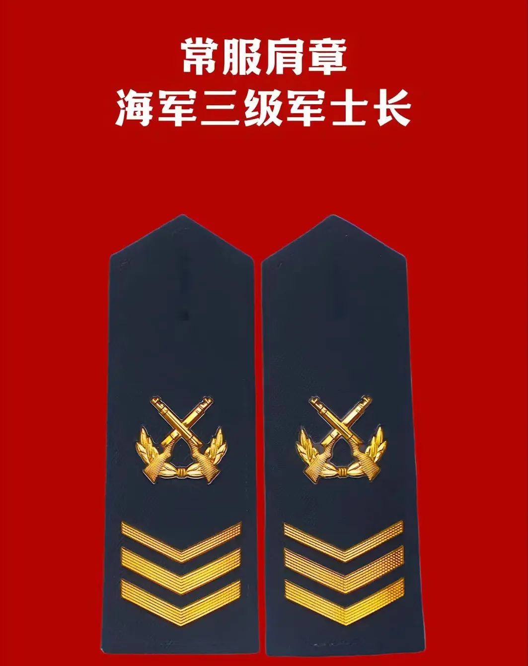 揭秘21式专武干部肩章，荣誉与责任的象征，揭秘，21式专武干部肩章——荣誉与责任的标志