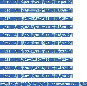 一肖2码默认版，揭秘背后的秘密与SEO优化策略，揭秘一肖2码背后的秘密与SEO优化策略全解析