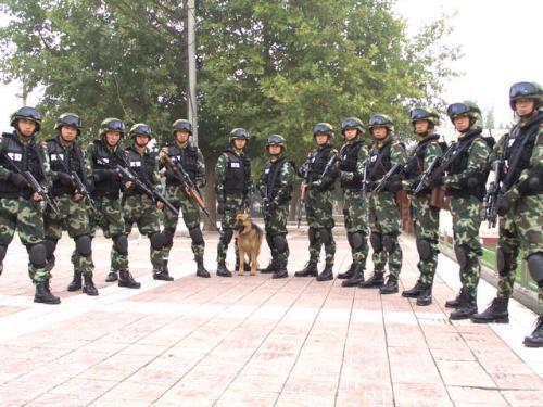 成都武装警察部队警官学院，培养精英人才的摇篮，成都武装警察部队警官学院，精英人才的培育摇篮