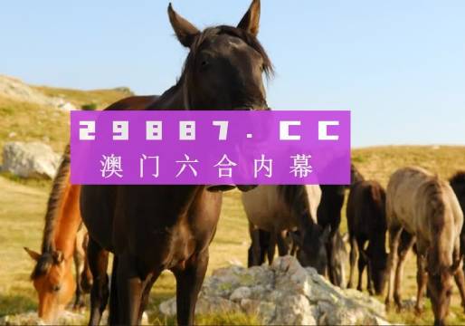澳门管家婆必中一肖一码，揭秘预测玄机与策略，澳门管家婆必中一肖一码，预测玄机揭秘与策略探讨