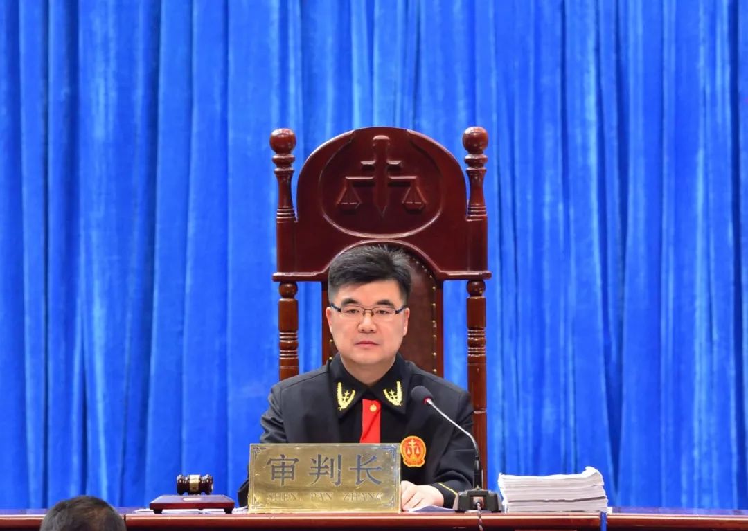 郭长林，一位引领时代的先驱者，郭长林，时代先驱的引领者