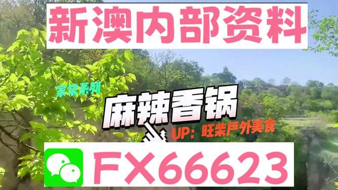 新澳精准资料免费大全