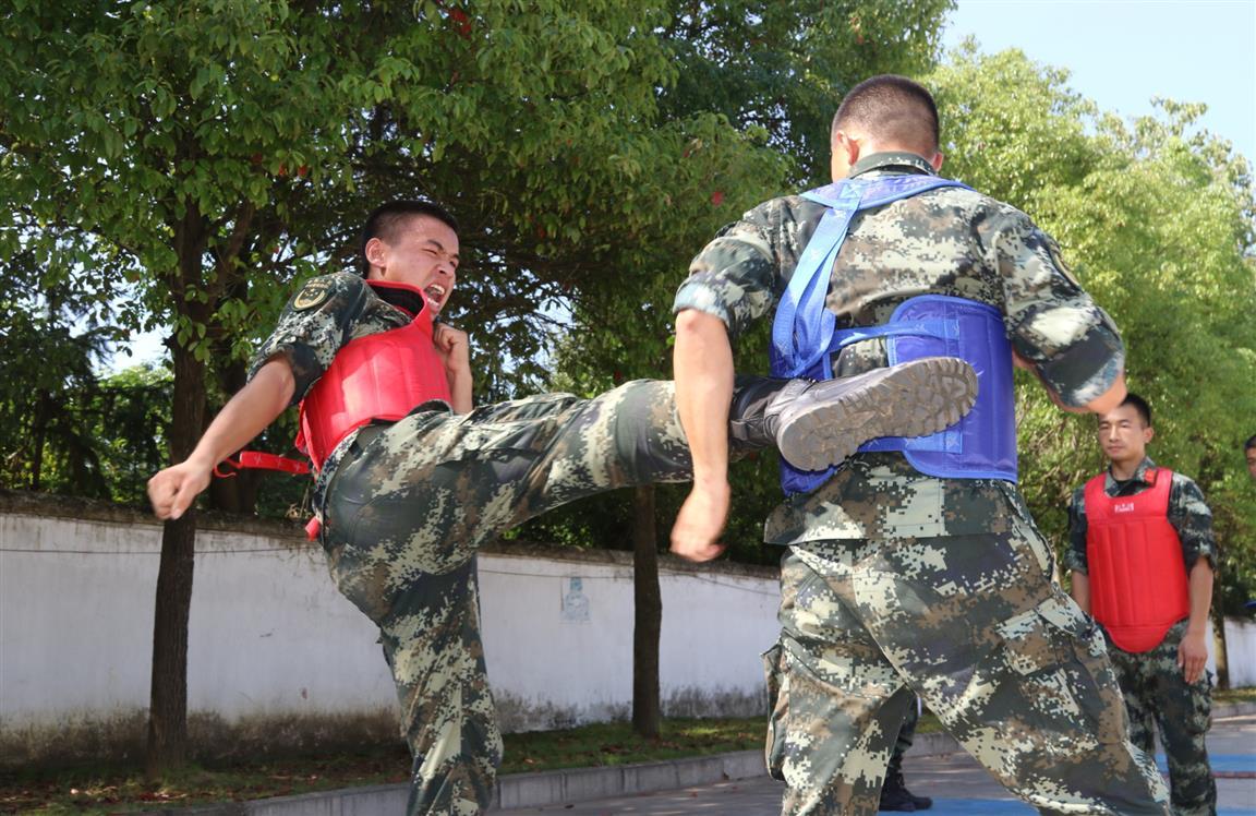 北京武警第15支队简介，北京武警第15支队概览
