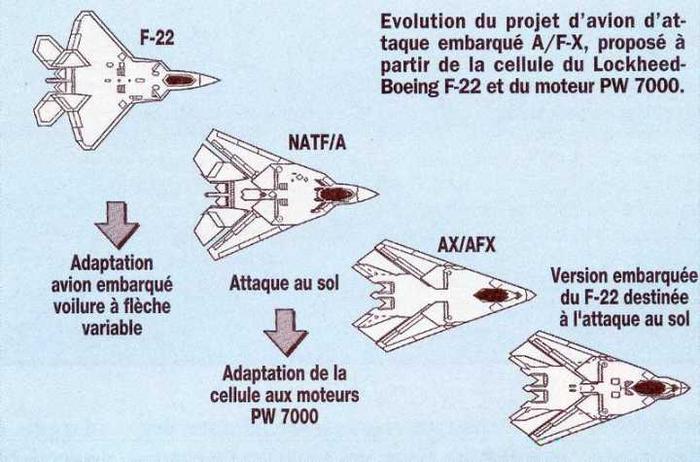 F22化学成分标准及其应用分析，F22化学成分标准及其应用解析
