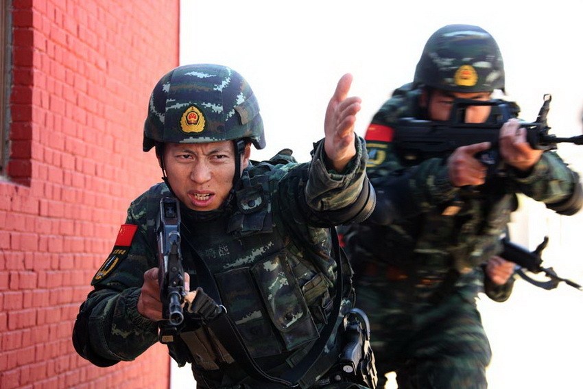 中国人民武装警察部队特种警察学院招生条件详解，中国人民武装警察部队特种警察学院招生条件全面解析