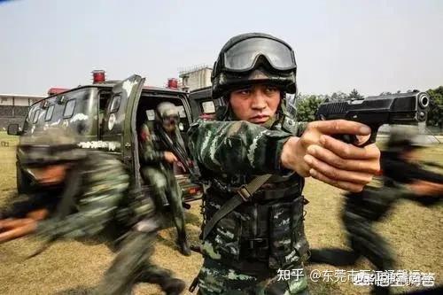 陆军与武警，选择当兵之路的权衡与抉择，陆军与武警，选择军旅之路的权衡与抉择