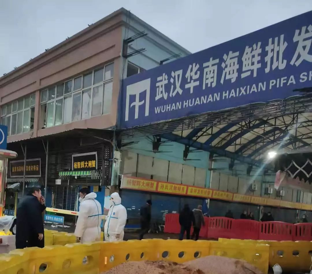 原因与影响分析