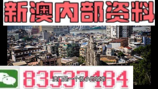新澳门六开资料大全，探索与揭秘，新澳门六开资料大全，揭秘与探索之旅