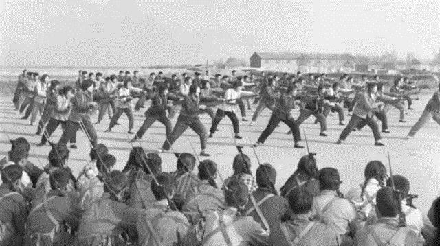 民兵训练12天，酬劳及费用解析，民兵训练12天酬劳与费用全解析