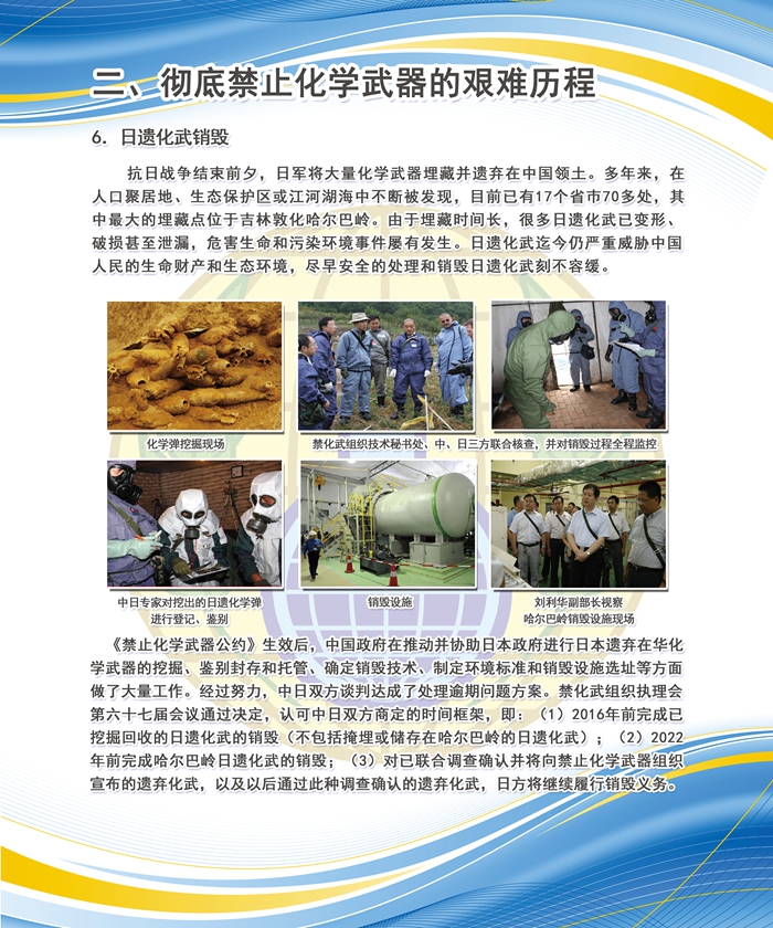关于禁止化学武器组织海报的探讨，禁止化学武器组织海报的深入探究