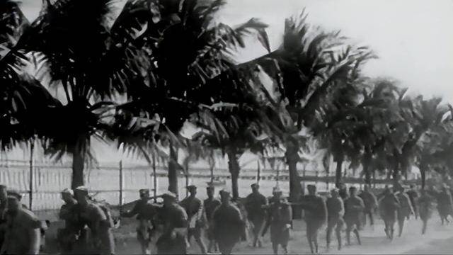 海南岛战役，天要亡蒋？深度解读历史背后的真相，海南岛战役，命运转折还是历史真相？