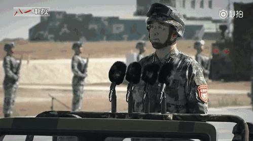 揭秘，为何撤销第14集团军？深度解析背后的原因，深度解析，撤销第14集团军背后的原因揭秘